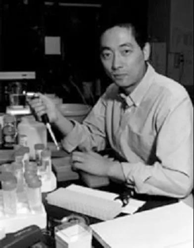 残疾人奥运会中国队