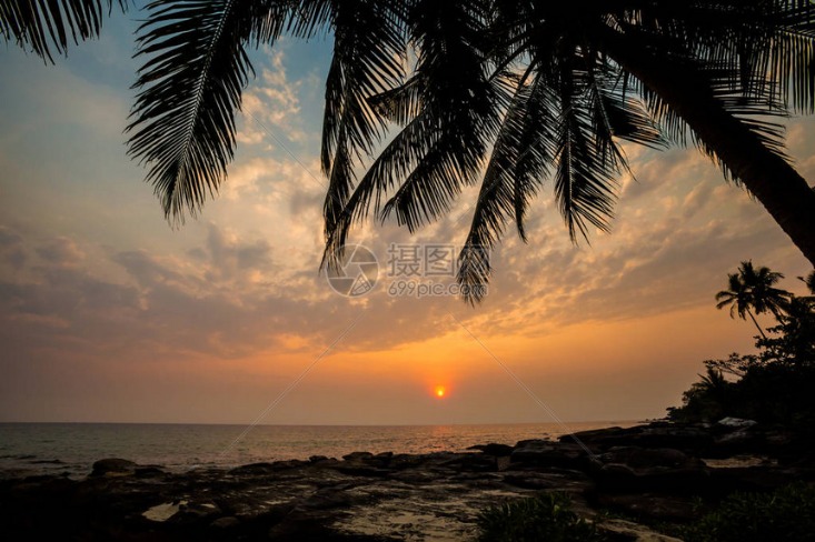 夏季残疾人奥林匹克运动会残疾人奥林匹克运动会