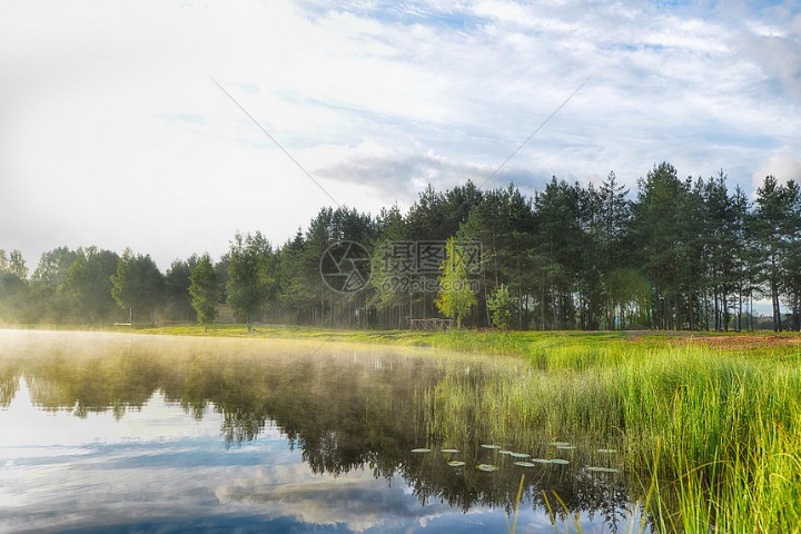 夏季残疾人奥林匹克运动会残疾人奥林匹克运动会