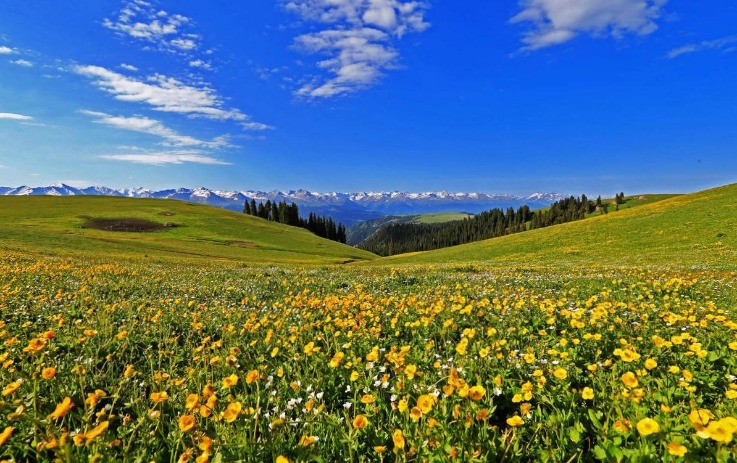 夏季残疾人奥林匹克运动会残疾人奥林匹克运动会
