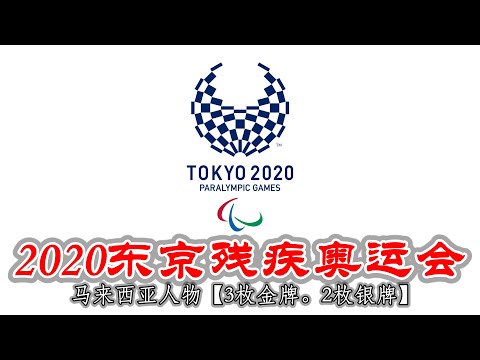 夏季残疾人奥林匹克运动会残疾人奥林匹克运动会