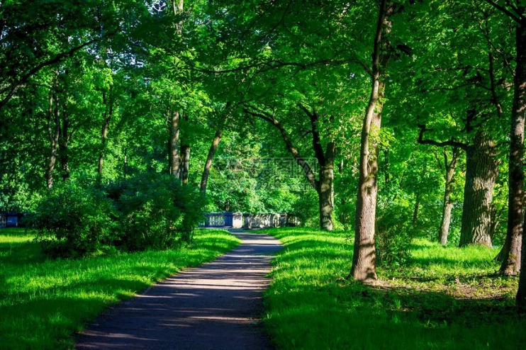 夏季残疾人奥林匹克运动会残疾人奥林匹克运动会