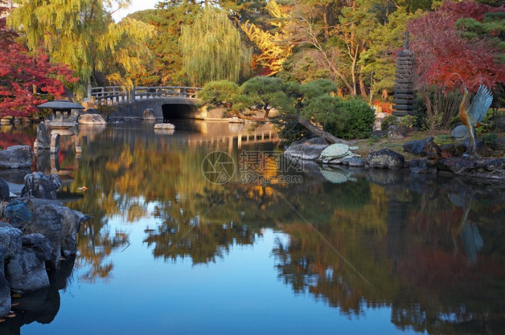 夏季残疾人奥林匹克运动会残疾人奥林匹克运动会