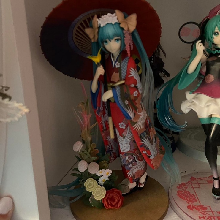 中国女子轮椅篮球队