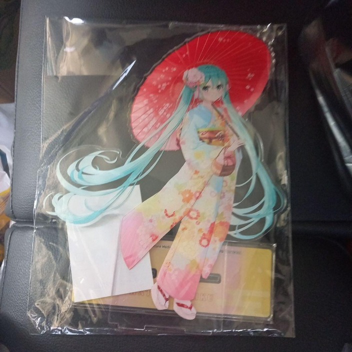 中国女子轮椅篮球队